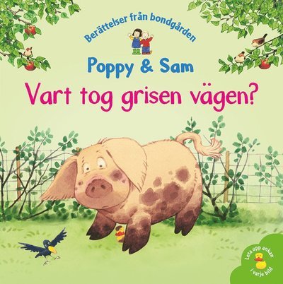 Cover for Heather Amery · Poppy &amp; Sam : Vart tog grisen vägen? (Indbundet Bog) (2021)