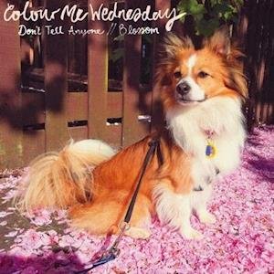 Don't Tell Anyone / Blossom - Colour Me Wednesday - Music - AMLA - 0616011914177 - May 4, 2018
