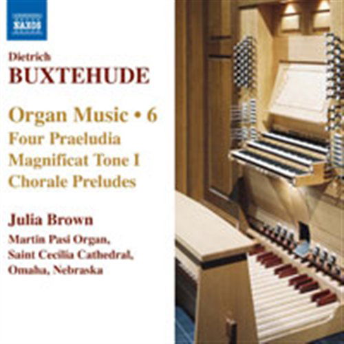 Organ Music Vol.6 - D. Buxtehude - Música - NAXOS - 0747313031177 - 18 de setembro de 2007