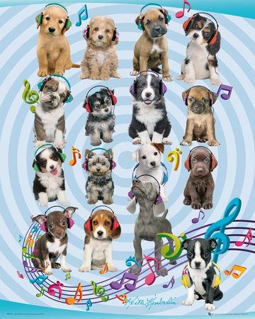 Cover for Keith Kimberlin · Keith Kimberlin: Puppies Headphones 2 (Poster Mini 40x50 Cm) (MERCH)