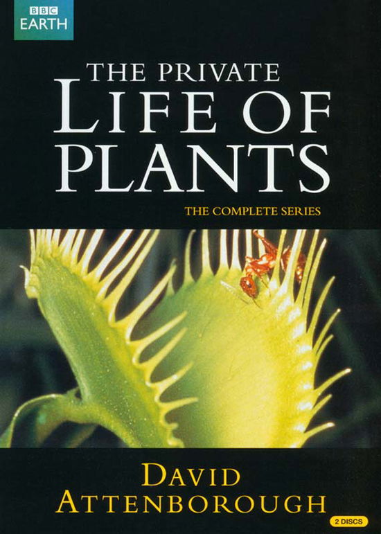 Private Life Of Plants - Private Life of Plants Repack - Películas - BBC - 5051561037177 - 24 de septiembre de 2012