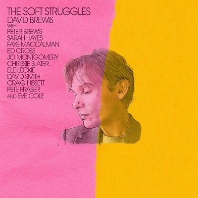 Cover for David Brewis · The Soft Struggles (CD) (2023)