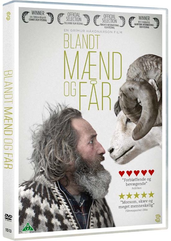 Cover for Grímur Hákonarson Grøvlen / Sturla Brandth · Blandt Mænd og Får (DVD) (2016)