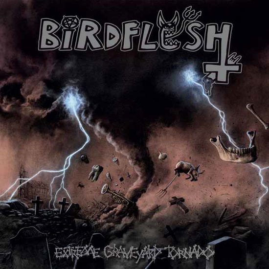 Cover for Birdflesh · Extreme Graveyard Tornado (CD) (2024)