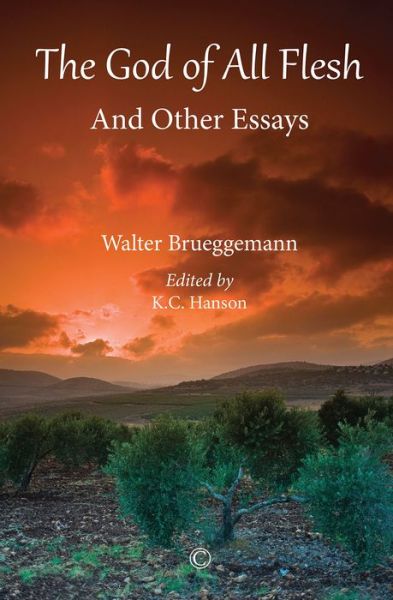 Cover for Walter Brueggemann · The God of All Flesh: and Other Essays (Paperback Book) (2017)