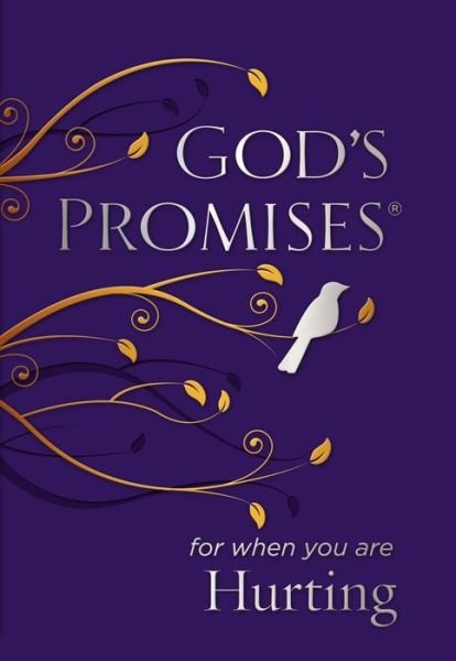 Cover for Jack Countryman · God's Promises for When You are Hurting (Paperback Book) (2015)