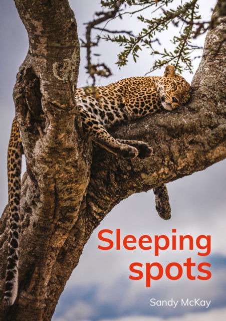 Cover for Sandy McKay · Sleeping spots - Red Squirrel Reading Road 2 (Paperback Book) (2025)