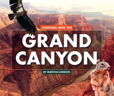 Cover for Martha London · Looking Into the Grand Canyon (Hardcover Book) (2020)