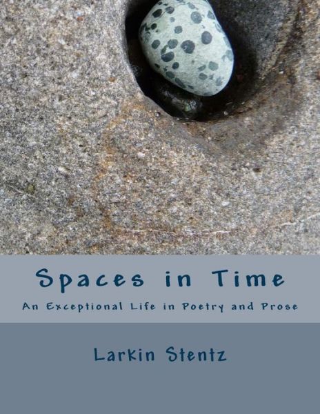 Cover for Larkin Stentz · Spaces in Time (Paperback Book) (2011)