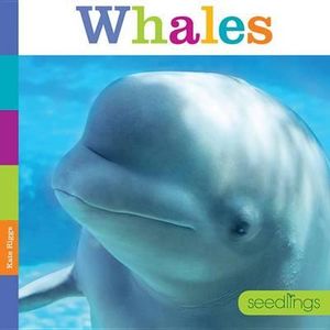 Cover for Kate Riggs · Seedlings: Whales (Hardcover Book) (2015)