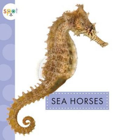 Sea Horses - Mari C. Schuh - Books - Amicus - 9781681524177 - August 20, 2019