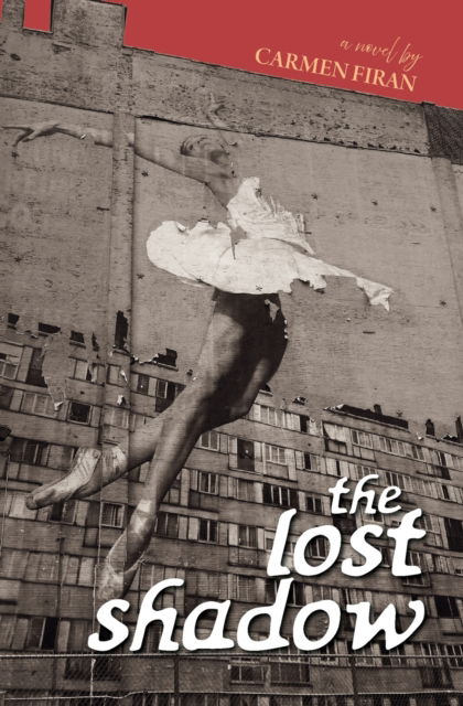 The Lost Shadow - Carmen Firan - Books - New Meridian Arts - 9781737249177 - March 10, 2022