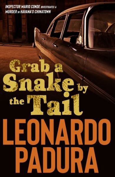 Cover for Leonardo Padura · Grab a Snake by the Tail (Paperback Book) (2019)