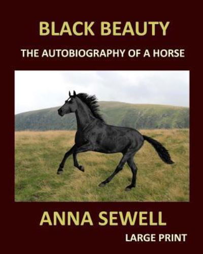 Cover for Anna Sewell · BLACK BEAUTY ANNA SEWELL Large Print (Paperback Book) (2017)