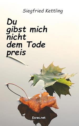 Cover for Siegfried Kettling · Du gibst mich nicht dem Tode preis (Paperback Book) (2018)