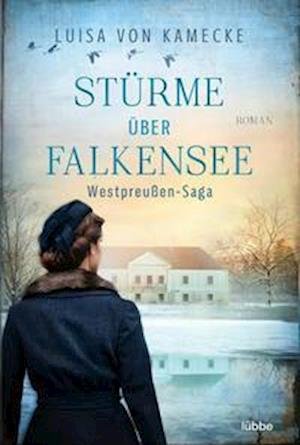 Cover for Luisa von Kamecke · Stürme über Falkensee (Paperback Book) (2021)