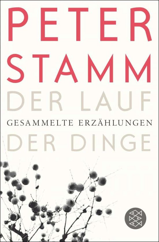 Cover for Peter Stamm · Der Lauf der Dinge (Taschenbuch) (2016)