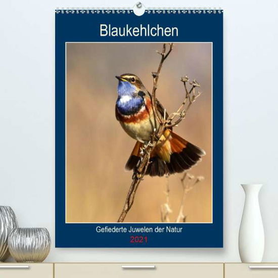 Cover for Schaack · Blaukehlchen. Gefiederte Juwele (Book)