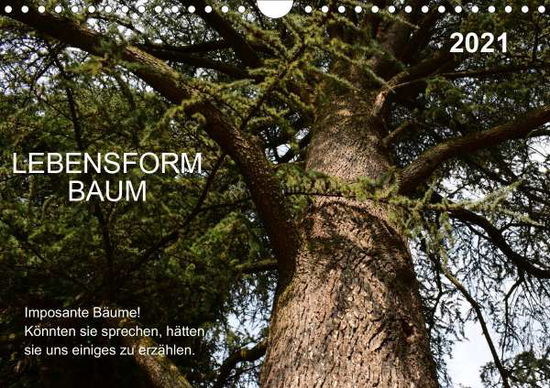 Cover for Gaudig · Lebensform Baum (Wandkalender 20 (Book)