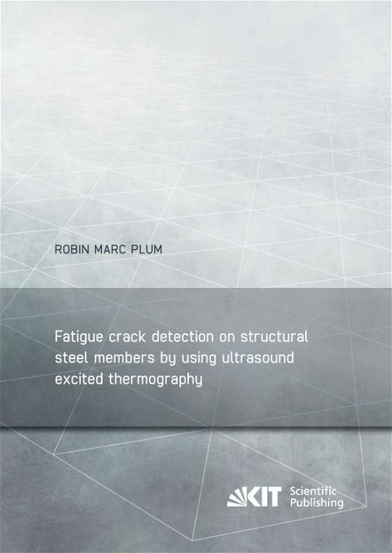 Cover for Plum · Fatigue crack detection on structu (Book)