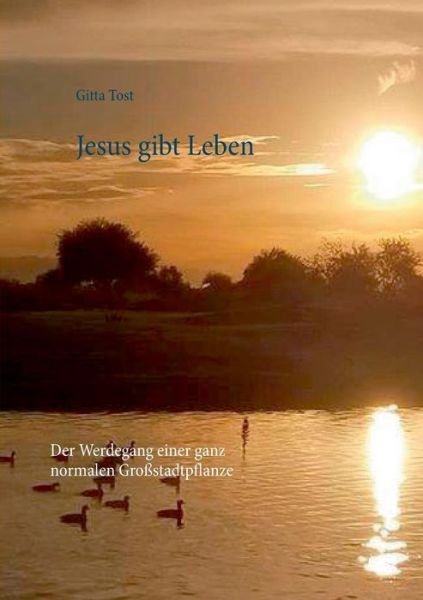 Cover for Tost · Jesus gibt Leben (Book) (2019)
