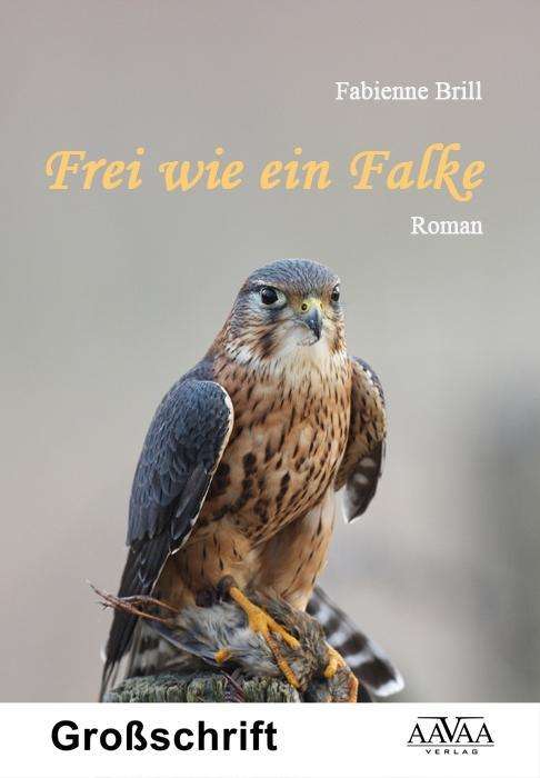 Cover for Brill · Frei wie ein Falke,Großdruck (Book)