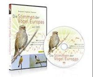 Die Stimmen der Vögel Europas - Bergmann - Other -  - 9783891048177 - 