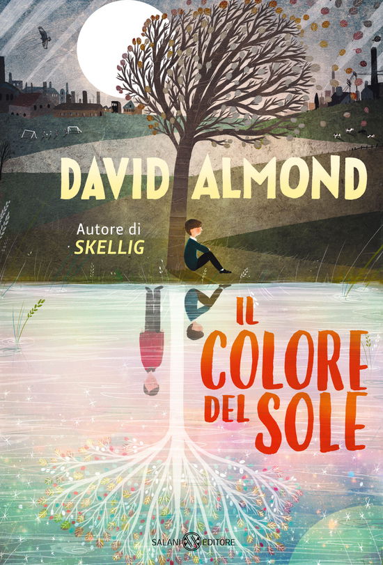 Cover for David Almond · Il Colore Del Sole (Book)