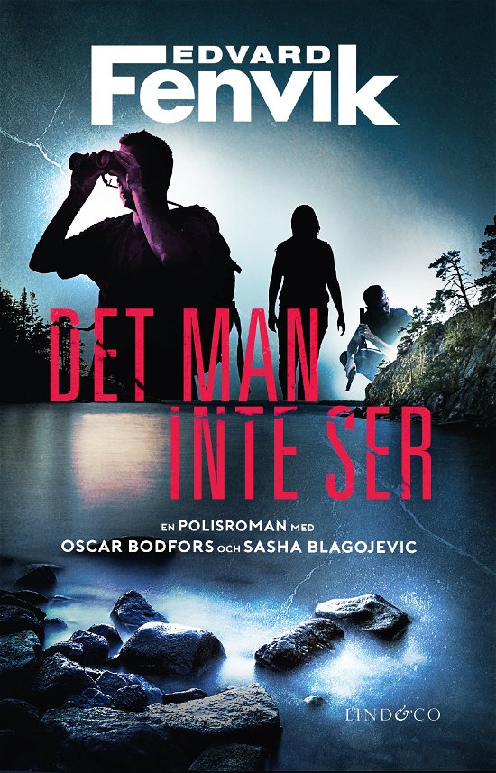 Cover for Edvard Fenvik · Det man inte ser (Book) (2023)