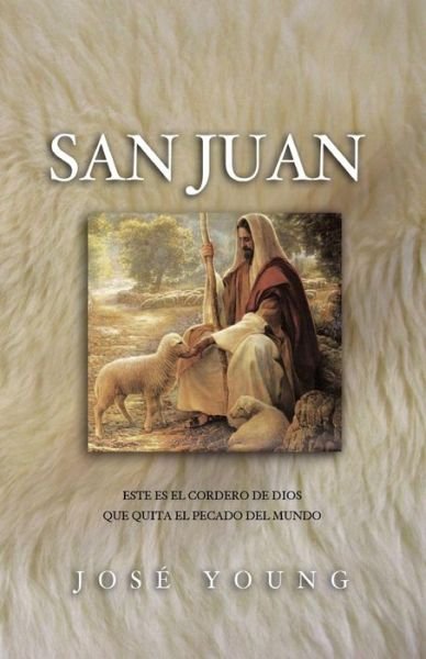 Cover for Ing. José Young · San Juan (Paperback Bog) [Spanish, 1 edition] (2004)