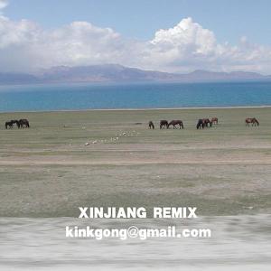 Cover for Kink Gong · Xinjiang Remix (CD) [Remixes edition] (2012)