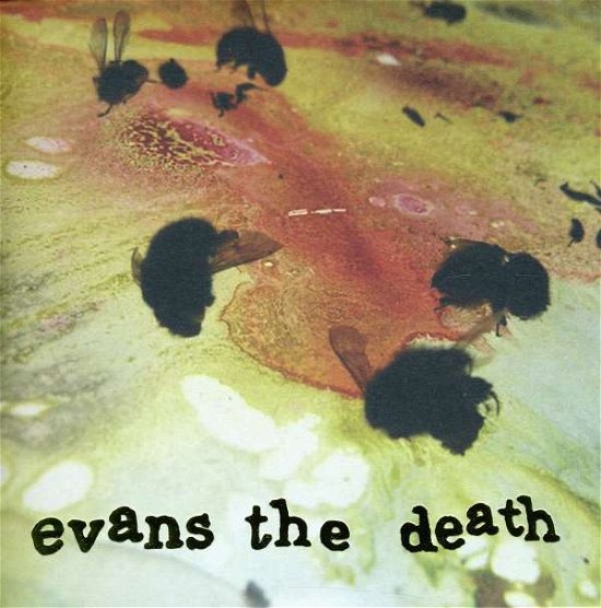 Cover for Evans The Death · Threads (LP) (2023)