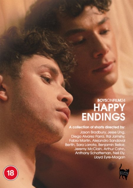 Cover for Boys on Film 24 Happy Endings · Boys On Film 24: Happy Endings (DVD) (2024)