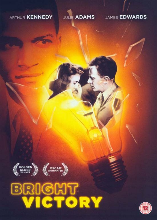 Cover for Bright Victory (DVD) (2016)