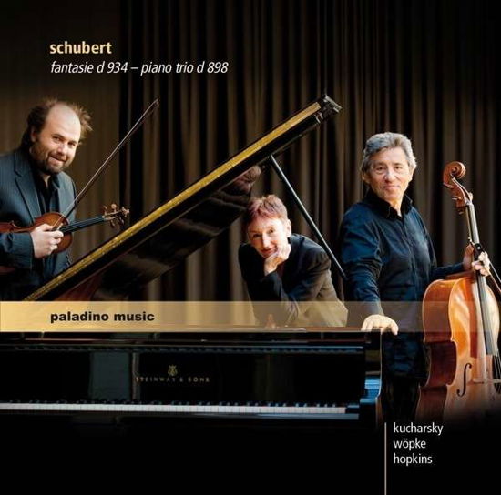 Fantasie D 934 - Piano Trio D 898 - Schubert / Hopkins / Kucharsky / Wopke - Muziek - PALADINO MUSIC - 9120040730178 - 8 januari 2016