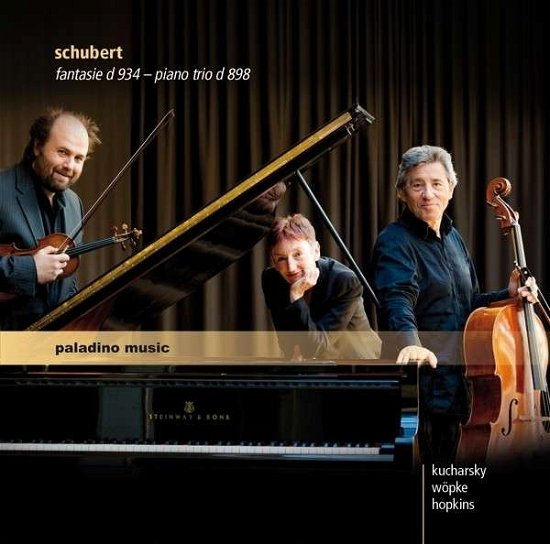 Fantasie D 934 - Piano Trio D 898 - Schubert / Hopkins / Kucharsky / Wopke - Muziek - PALADINO MUSIC - 9120040730178 - 8 januari 2016
