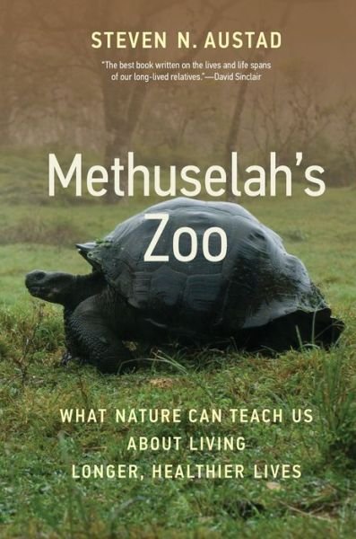 Cover for Steven N. Austad · Methuselah's Zoo: What Nature Can Teach Us about Living Longer, Healthier Lives (Pocketbok) (2023)