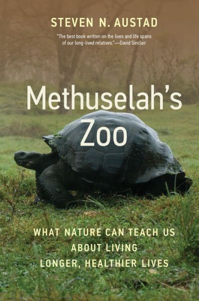 Cover for Steven N. Austad · Methuselah's Zoo: What Nature Can Teach Us about Living Longer, Healthier Lives (Paperback Book) (2023)