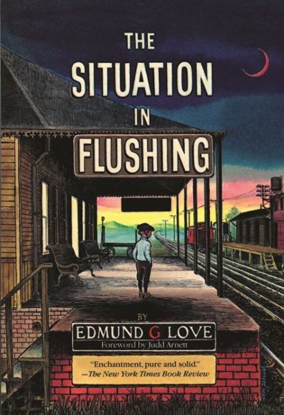 Cover for Edmund G. Love · The Situation in Flushing - Great Lake Books Series (Taschenbuch) (1987)
