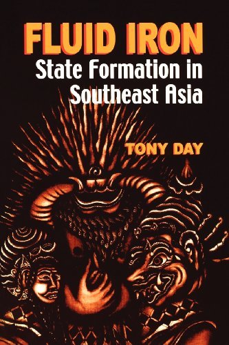 Cover for Tony Day · Fluid Iron (Paperback Book) (2002)