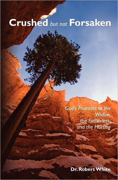 Cover for Robert White · Crushed but Not Forsaken: God's Promises to the Widow, the Fatherless, and the Hurting (Paperback Book) (2009)