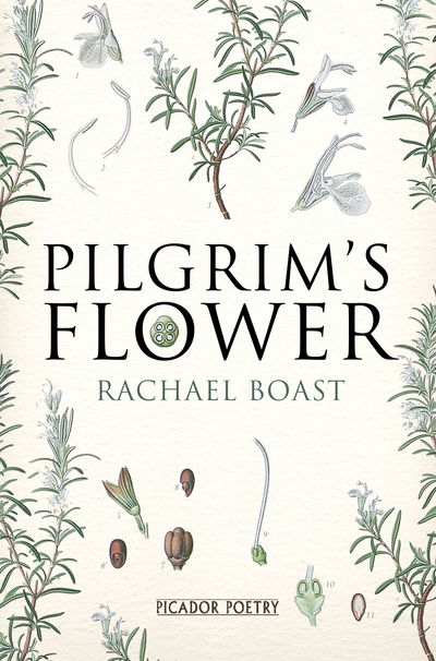 Cover for Rachael Boast · Pilgrim's Flower (Paperback Book) [Main Market Ed. edition] (2013)