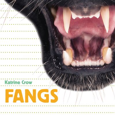 Cover for Katrine Crow · Fangs (Board book) (2022)