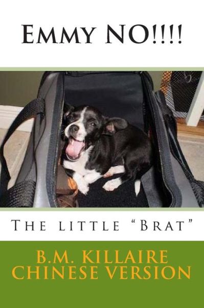 Cover for B M Killaire · Emmylou No!!!!: the Little (Paperback Book) (2014)