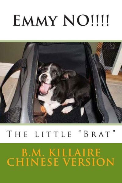 Cover for B M Killaire · Emmylou No!!!!: the Little (Paperback Book) (2014)