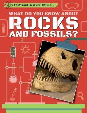 Cover for Anna Claybourne · What Do You Know about Rocks and Fossils? (Hardcover bog) (2017)