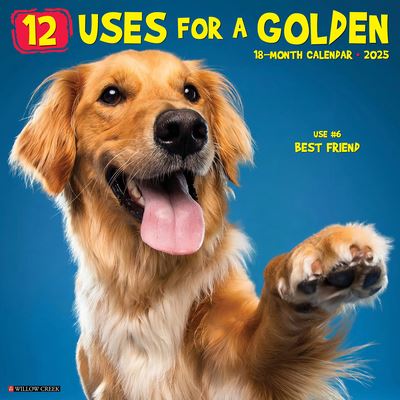 Willow Creek Press · 12 Uses for a Golden 2025 12 X 12 Wall Calendar (Calendar) (2024)