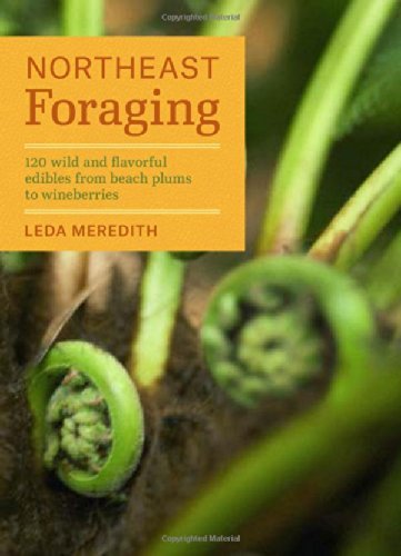 Cover for Leda Meredith · Northeast Foraging: 120 Wild and Flavorful Edibles from Beach Plums to Wineberries (Pocketbok) (2014)