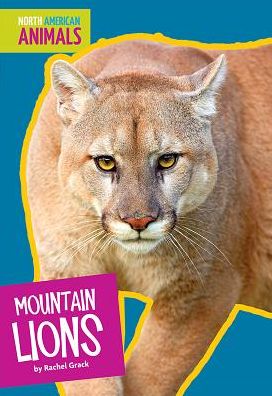 Cover for Rachel Grack · Mountain Lions (Hardcover Book) (2018)