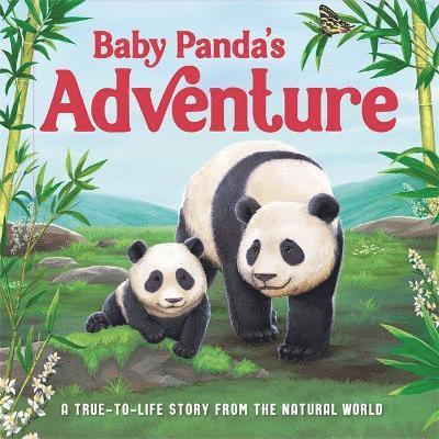 Cover for Baby Pandas Adventure (Book)